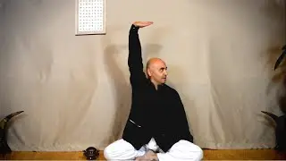 Cursuri Qigong Pentru Incepatori, Online - Stilul Gongong