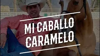 Mi Caballo Caramelo