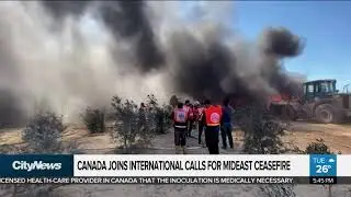 Canada joins international calls for Middle East ceasefire
