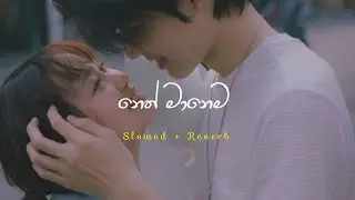 ⚪️ Neth manema - නෙත් මානෙම slowed + reverb [ i Lofi ] 🤍🥀