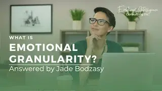 Emotional Granularity & Workplace Tensions
