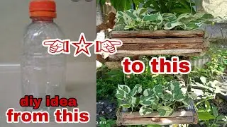 the best diy idea to recycle empty plastic bottle