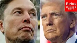 New Poll Reveals Who Won The War Between Trump And Elon Musk