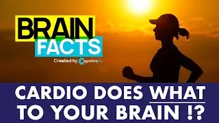 CARDIO does WHAT to your BRAIN!? | Brain Facts #shorts