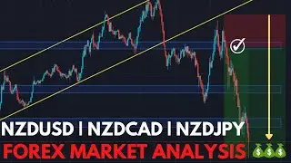 FOREX MARKET ANALYSIS 2021 | NZDUSD | NZDCAD | NZDJPY