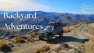 Let's explore - Adventures in the backyard