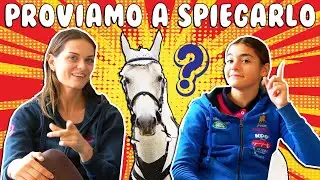 I TERMINI PIU’ STRANI USATI NELL’ EQUITAZIONE 🐴 CON @LaNichi   By @Tele Silvia   - da ridere!!!😂😂