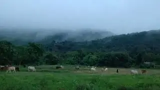 Beautiful clouds Top Of The Mountain || At Sector-6 Hilltop Mountain.#vlog40