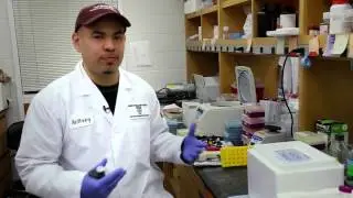 Why Public Health? Anthony Covarrubias