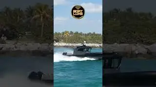 HAULOVER STEALTH