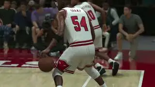 Horace Grant time with the bulls was really over shadowed by Batman and robin