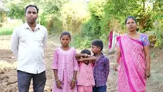 Tobacco farmers shifting over to alternative crops: success stories from Gujarat, India