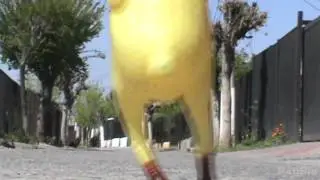 Las Aventuras Del Pollo Jaime - Capítulo 1