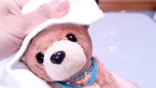 ぬいぐるみシャンプー Stuffed animal shampoo