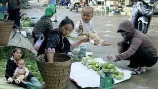 Harvest corn to sell at the market  Pull weeds and take care of the sweet potatoes Trang Thi May