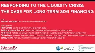 Responding to the liquidity crisis: the case for long-term SDG financing