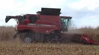 Case IH Corn Demo ZIP AGRO - Axial Flow 9230