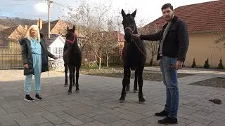 Manjii lui Emanuel de la Sard, Alba - 2020 Nou!!!