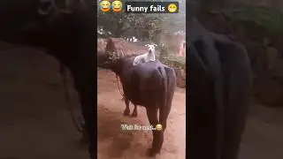 Funny fails #comedyph #funny #comedyvideos #vloggagsph #memes #funmade #funnyshorts #comedy