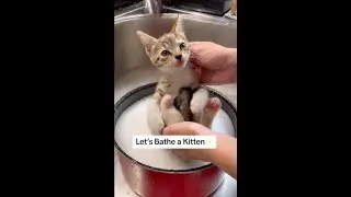 The way she squeezes the water out is so cute.