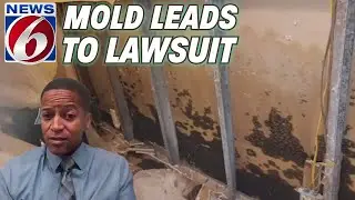 Florida man sues insurance adjuster, claiming fraud, after mold found in kitchen