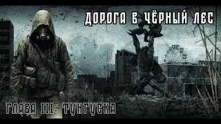 Дорога в Чёрный Лес. Приближаемся к финалу | STAY OUT | STALKER ONLINE