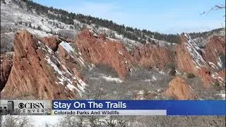 'Stay On The Trail': Colorado Parks And Wildlife Spreads Message To Protect Trails