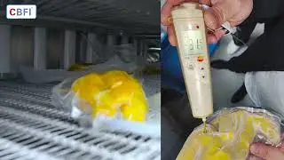 CBFI | IQF Cases | Double Spiral Quick Freezer | Vaccum Chicken | Livestock&Poultry Industry