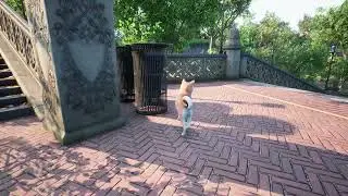 DogeAI, AI based on the behavior of a real dog