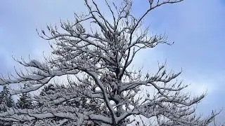 JATA PANI SETO MATRI AJA//Daily In a Life//KarshyangKcVlogs❄️🌨️❄️❄️☃️☃️🌨️❄️❄️
