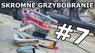 LEKKIE UPRZĄTNIĘCIE GRZYBOWOZU | Projekt S (#7)