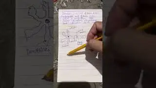 Neuron structure in short video