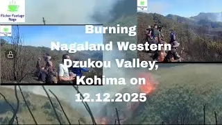 A Major Wildfire Broke Out In Nagaland Western Dzukou Valley, Kohima on12 Dec.2025 |13.12.2025 video