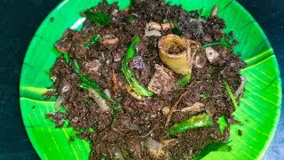 ஆட்டுக்குடல் ரத்த பொரியல் ( Mutton boti & blood fry😋😋)#muttonrecipe #muttonbloodfry #botirecipe..