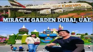 MIRACLE GARDEN DUBAI UAE THE BEAUTIFUL #1 WORLD LARGEST NATURAL FLOWERS GARDEN