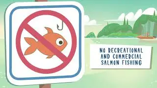 Boating Around Killer Whales in Coastal BC - Fishery Measures for Southern Resident Killer Whales