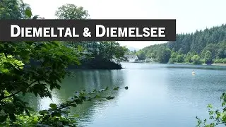 Die Diemel: Von der Quelle zum Diemeltal