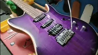 Panico guitars T series
