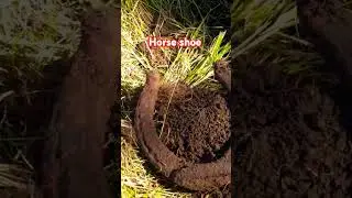 Horseshoe |seeded hunt|Rhode Island | EVENT #fun #metaldetecting #maine #nokta #legend #mdf #1800s
