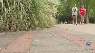 Study: Elizabeth River Trail boosts Norfolk's economy
