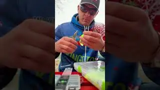 Riverfishing Barben mit ChebuRig Kingstonfishing