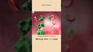 How Heavy Metal Detox Works