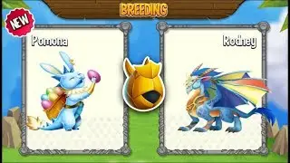 Deus Pet Dragon vs Egg Hunter Dragon | Dragon City [BREEDING EXCLUSIVE DRAGON]