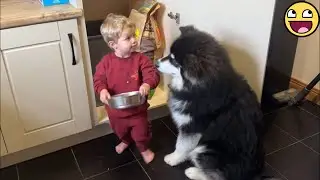 💞 