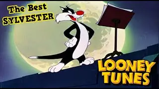 Looney Tunes | Top 15 Sylvester Cartoons