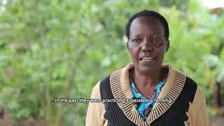 Okulima Emwanyi e Masaka Kalungu