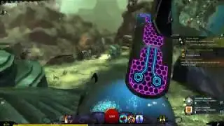 GW2 Every Waypoint in Malchor's Leap in Under 6 minutes