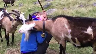 Entspannend und sinnstiftend - die Schule der Alm