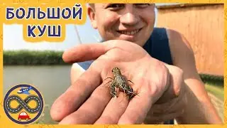 Большая рыбалка. Акши и Куш - не рассчитывай на большой куш