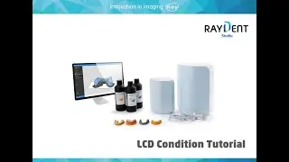 RAYDENT Studio - LCD Condition Tutorial